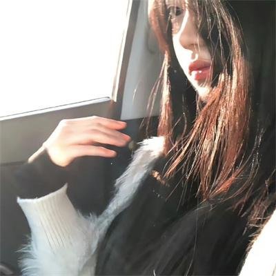 梨子树封面